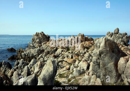 Felsenküste am kleinen Stadt Kleinmond, Overberg, Provinz Westkap, Südafrika. Stockfoto