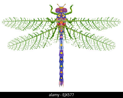 Libelle Insekt aus richtiger Sommer Blüten und Blättern hergestellt. Abstrakte handgefertigte isolierte collage Stockfoto