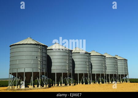 Sechs Getreidesilos auf Breeza Station - Breeza, NSW, Australien. Dieser Bereich ist Teil der Liverpool Plains-Region. Stockfoto