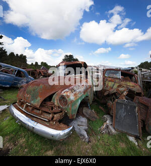 Neuseeland Stockfoto