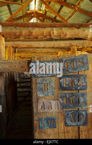 Ein pensionierter Scheren Schuppen auf Breeza Station - Breeza, New-South.Wales, Australien. Stockfoto