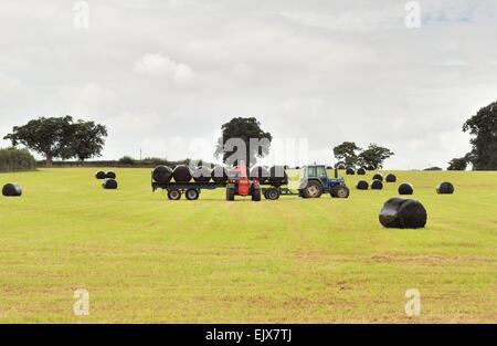 Landwirt sammeln und stapeln eingewickelte Heuballen auf einem Feld in der englischen Landschaft, Großbritannien Stockfoto