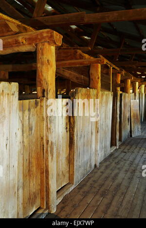 Ein pensionierter Scheren Schuppen auf Breeza Station - Breeza, New-South.Wales, Australien. Stockfoto