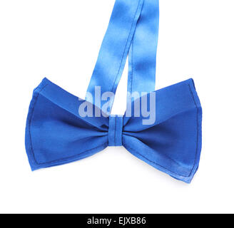 Blaue Fliege isoliert Stockfoto