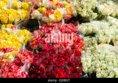 Bunte Rosensträuße Stockfoto