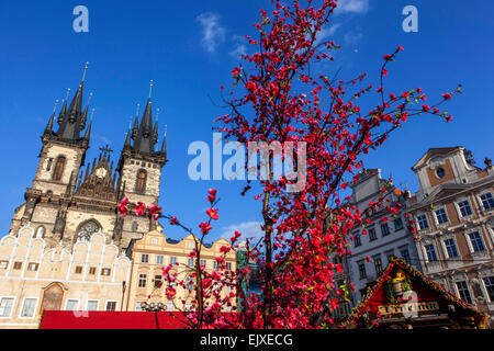 Tyn Kirche mit Osterbaum im Vordergrund am Altstädter Ring Prag, Tschechische Republik Stockfoto