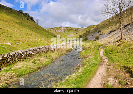 Der Fluss Lathkill fließt neben einer Kalksteinmauer in der Nähe von Monyash im Peak District, Derbyshire. Stockfoto