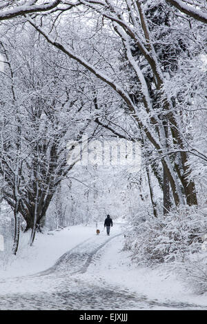 Winter entlang einer der vielen Wege im Prospect Park, Brooklyn, NY. Stockfoto