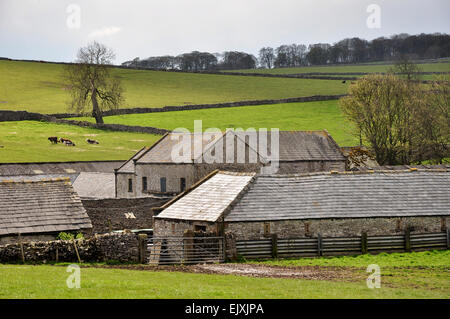 Weiße Gipfel Bauernhof nahe dem Dorf von über Haddon im Peak District, Derbyshire. Eine ländliche englische Szene. Stockfoto