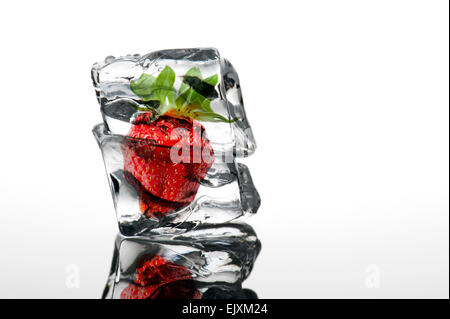 Erdbeere auf Eiswürfel auf weißem Hintergrund mit Reflexion Stockfoto