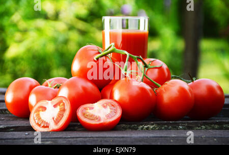 Tomaten und Saft im Garten. Bio-Lebensmittel. Stockfoto