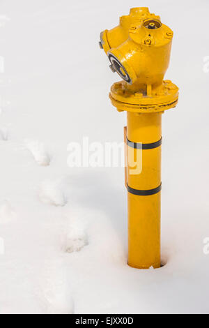 Jerusalem, Israel. Eine gelbe Feuerwehrschlauch im Schnee. Februar 2015 Stockfoto
