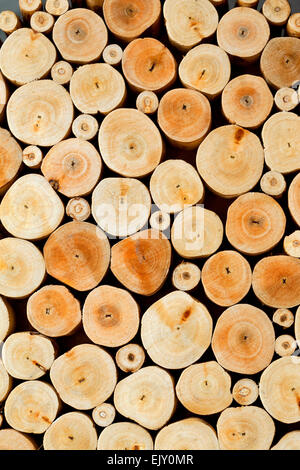 Nahaufnahme von einem Hintergrund aus hölzernen Blockstamm Stockfoto
