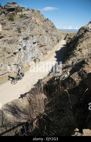 Ältere männliche Radfahrer auf der Central Otago Rail Trail, Südinsel, Neuseeland. Stockfoto