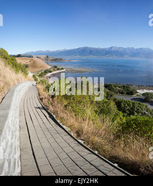 Bucht von Kaikoura Sommermorgen aus der Halbinsel, Südinsel, Neuseeland. Stockfoto