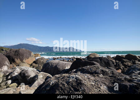 Südlichen Robbenkolonie auf Martins Bay, Hollyford Track, Südinsel, Neuseeland. Stockfoto