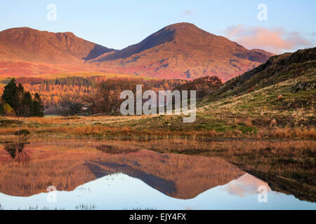 Kelly Hall Tarn in der Nähe von Torver in den Lake District National Park mit dem Greis Coniston in der Ferne. Stockfoto