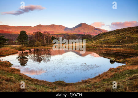 Kelly Hall Tarn in der Nähe von Torver in den Lake District National Park mit dem Greis Coniston in der Ferne. Stockfoto