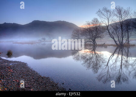 Des Baumes erfasst an einem nebligen Morgen Anfang November vom nördlichen Ende der Brüder Wasser im Lake District National Park. Stockfoto