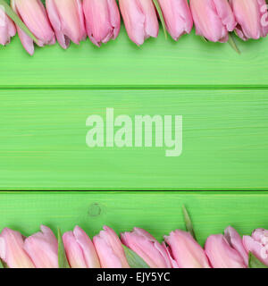 Rahmen von Tulpen Blumen im Frühling oder Mütter Tag mit Exemplar Stockfoto