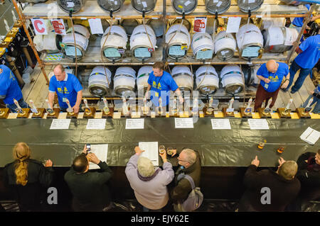 Kunden genießen ihren Pints bei einem CAMRA real Ale-Festival. Stockfoto