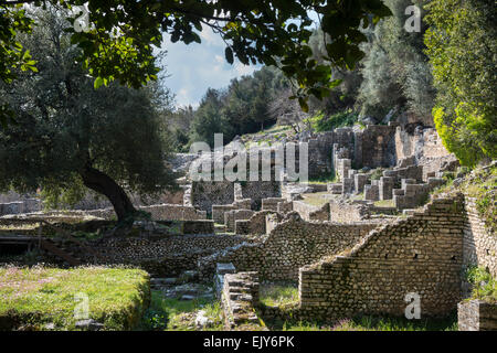 Blick über die römischen Ruinen in der antiken Stätte von Butrint in Südalbanien. Stockfoto