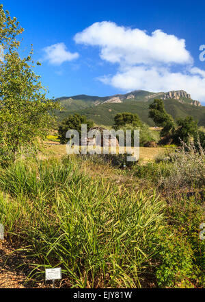 Garten und Chumash Dwelliing rekonstruiert im Rancho Sierra Vista/Satwiwa Stockfoto