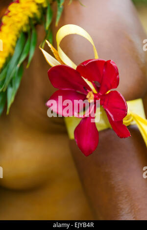 Yap Mädchen tragen Blume auf Yap Day Festival, Insel Yap, Föderierte Staaten von Mikronesien Stockfoto