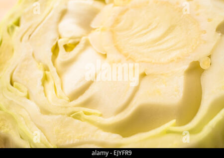 Schneiden Sie Laib frischen Grünkohl für Hintergrund Stockfoto