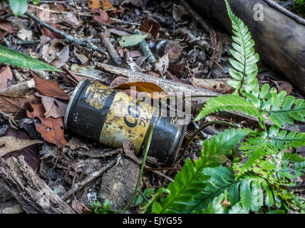 Ausrangierte Kaffeegetränke können auf einem Waldboden in Nara, Japan Stockfoto