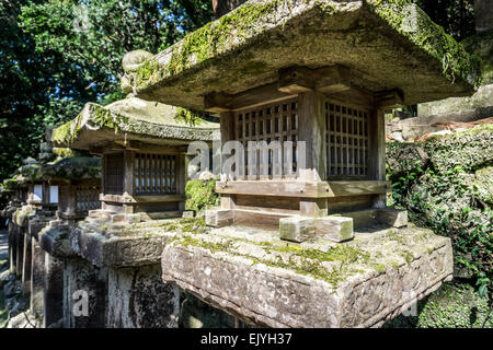 Nahaufnahme von mehreren alten japanischen Steinlaternen im Wald in der Nähe von Grand Kasuga-Schrein, Nara, Japan Stockfoto