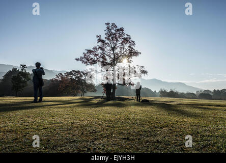 Fotografen, die Silhouette gegen die Morgensonne vor einen Baum auf einer Wiese in Nara, Japan Stockfoto