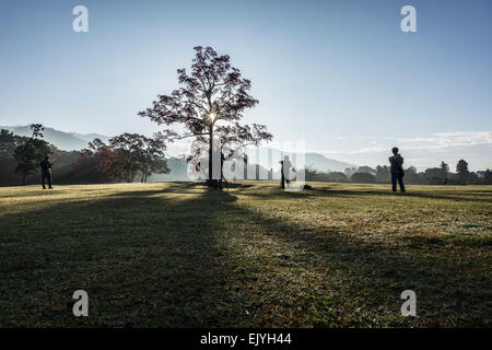 Fotografen, die Silhouette gegen die Morgensonne vor einen Baum auf einer Wiese. Stockfoto