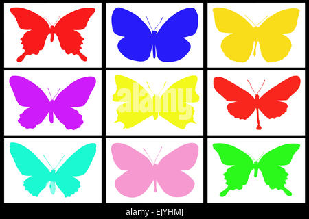Sammlung von bunten Schmetterling auf weißem Hintergrund Stockfoto