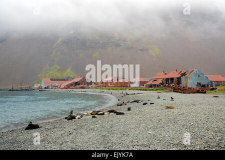 Alten verlassenen Walfangstation Stromness Südgeorgien Stockfoto