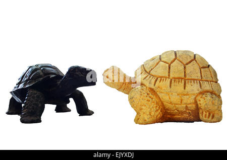 Schildkröte Turtle mit Meeresschildkröten Figur Stockfoto