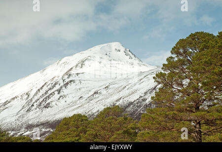 Sgurr Na Lapaich in Glen Affric Stockfoto