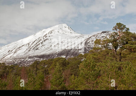 Sgurr Na Lapaich in Glen Affric Stockfoto