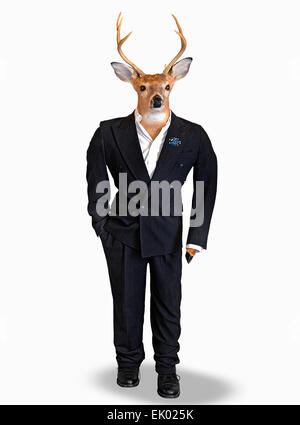 Big Buck Hirsch trägt einen schwarzen Smoking, isoliert auf weiss. Stockfoto