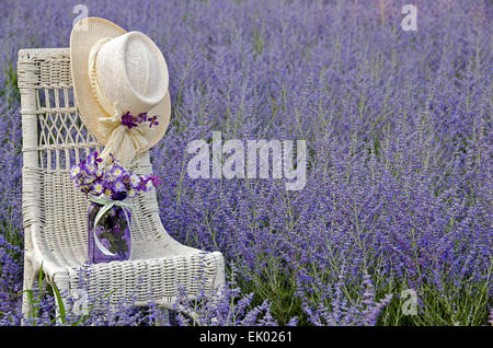 Hut und Strauß lila Blumen im Einmachglas auf einem weißen Korbstuhl in einem Feld von lila Blüten. Stockfoto