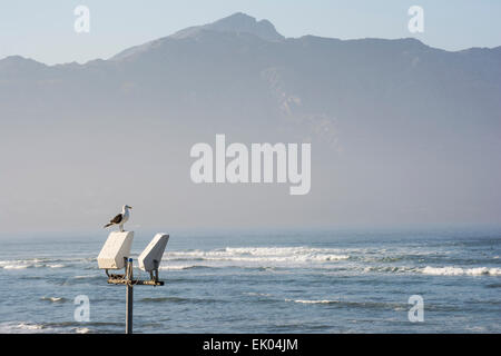 Eine Möwe sitzt auf einer Straßenlaterne mit Blick aufs Meer mit Bergen im Hintergrund Stockfoto