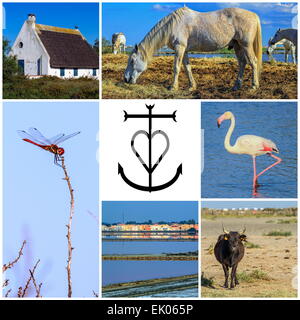 Collage aus mehreren Fotos Camargue und berühmten Camargue Kreuz in der Mitte, Frankreich Stockfoto
