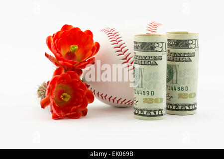 Zwei Baseballs bei amerikanischen Währung und roter Kaktus Blumen auf weißem Hintergrund platziert. Stockfoto