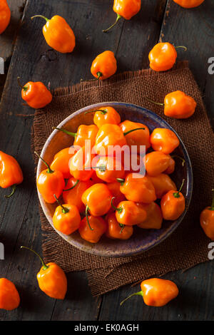 Rohe Bio Orange Habanero Paprika auf einem Hintergrund Stockfoto