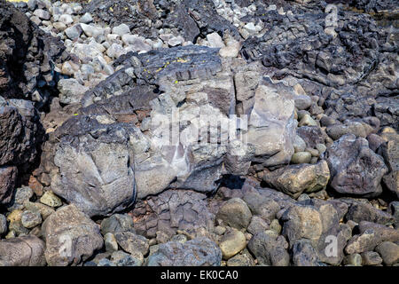 Ansicht von Lavafelsen in Budir, Island auf der Halbinsel Snaefellsnes. Stockfoto