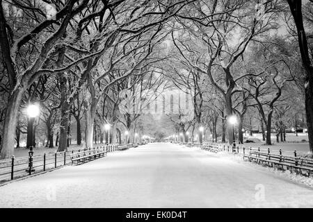Die Mall, Central Park, New York, während eines Schneesturms in den frühen Morgenstunden. Stockfoto