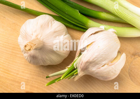 Zwei Lampen von frischem Knoblauch neben Garbe grüne Zwiebeln Stockfoto