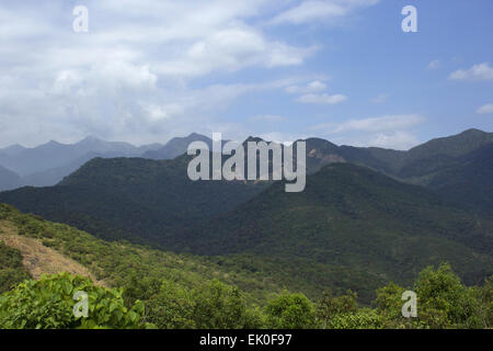 Silent Valley National Park, Kerala. Das Hotel liegt in den Nilgiri Hills, Palakkad Bezirk in Kerala, Südindien. Stockfoto