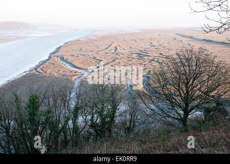 Blick vom Weg der Dichter Dylan Thomas Geburtstag Walk in Laugharne mit Ansichten von Marsh, Feuchtgebiete der Mündung des Flusses Taf, Stockfoto