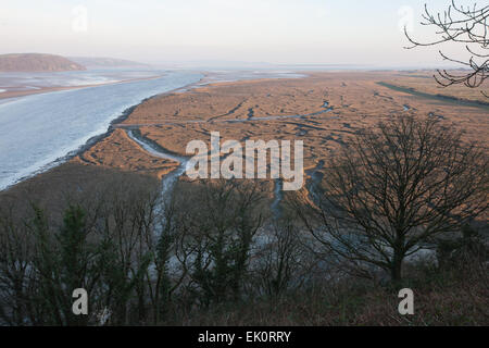 Blick vom Weg der Dichter Dylan Thomas Geburtstag Walk in Laugharne mit Ansichten von Marsh, Feuchtgebiete der Mündung des Flusses Taf, Stockfoto